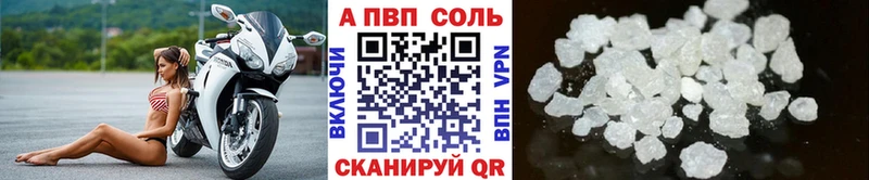 A PVP СК  Малоярославец 
