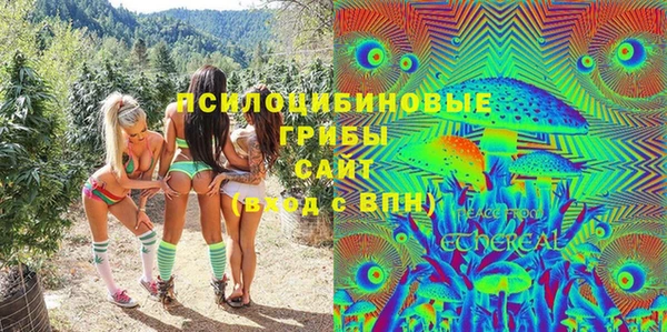 мдпв Магадан