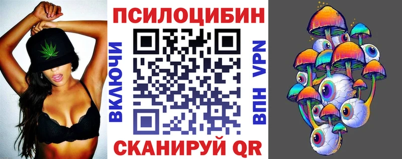 Псилоцибиновые грибы GOLDEN TEACHER  darknet телеграм  Малоярославец  цены наркотик 