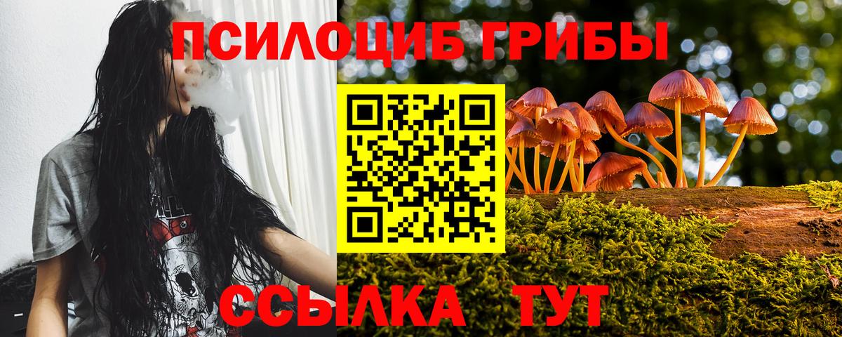 Галлюциногенные грибы MAGIC MUSHROOMS Малоярославец