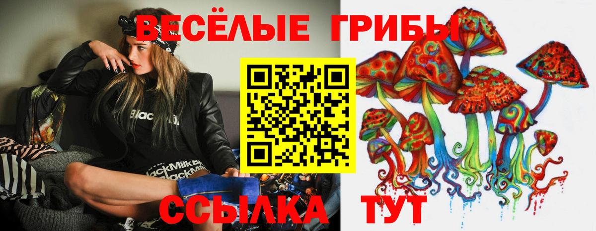 Галлюциногенные грибы прущие грибы  Малоярославец  дарнет шоп  Псилоцибиновые грибы MAGIC MUSHROOMS 