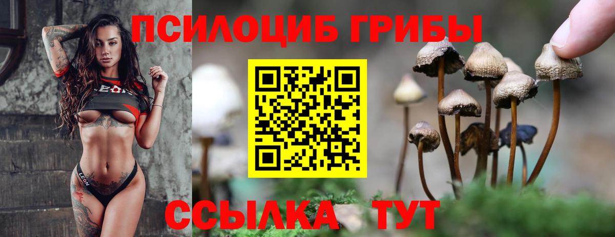 Псилоцибиновые грибы Psilocybine cubensis Малоярославец