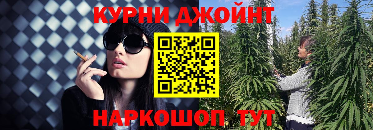 Конопля OG Kush Малоярославец